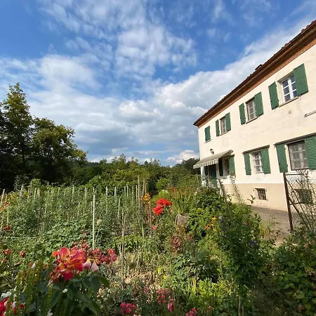 Il Nocciolo Daire Diano dʼAlba